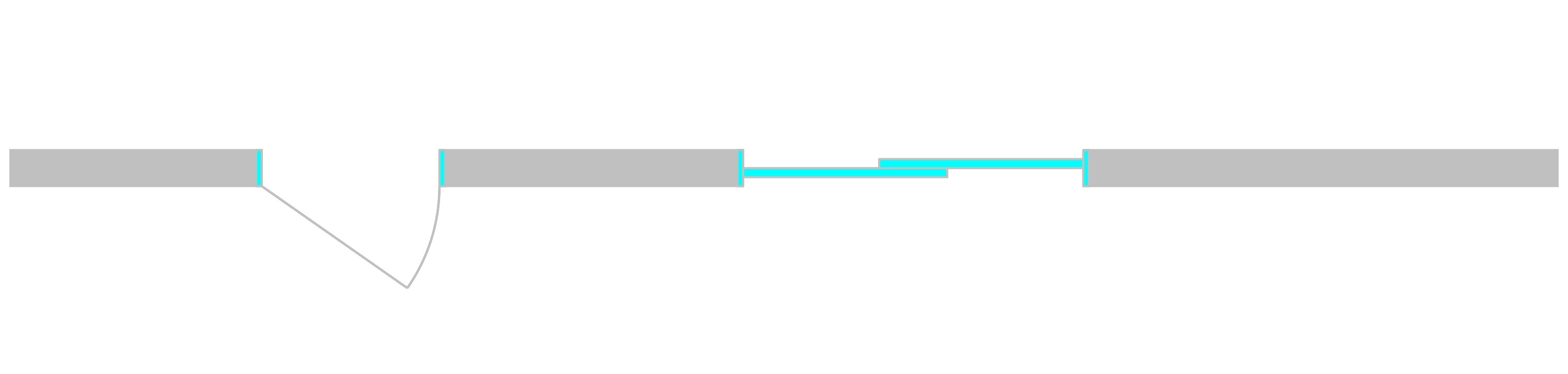 Door_for_help_article_-_1._Floor_-_2D_Floor_Plan.jpg