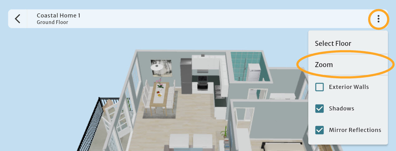 Airplane Mode - Zoom Controller Circled.jpg