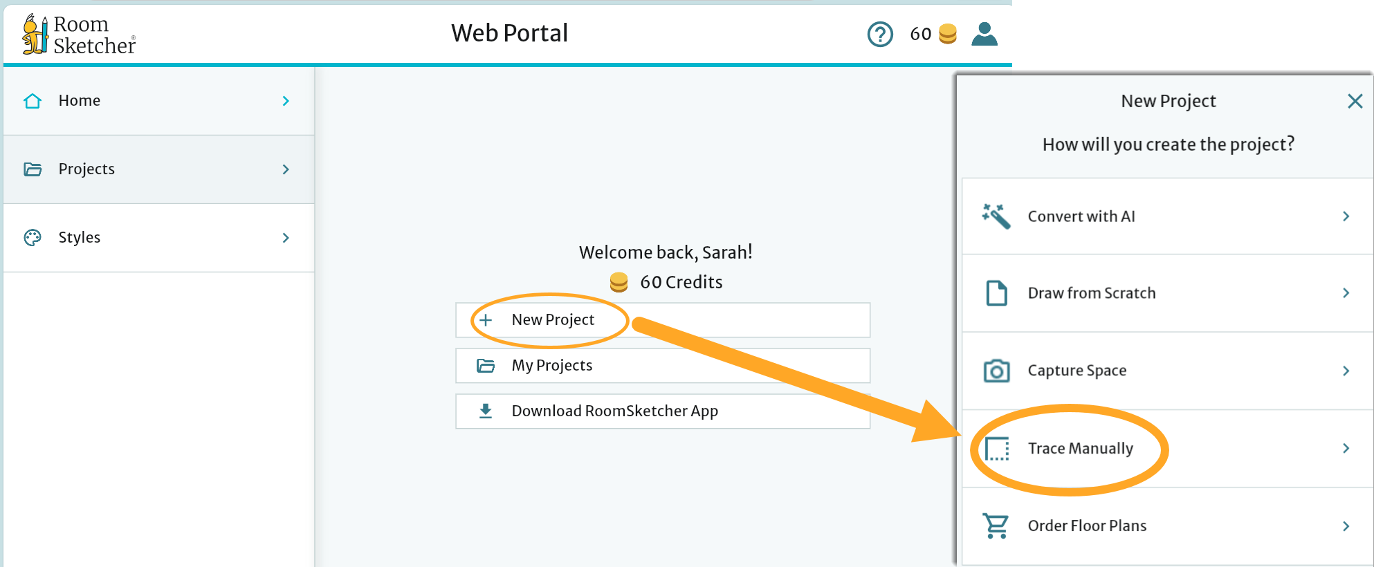 web portal - trace manually.png